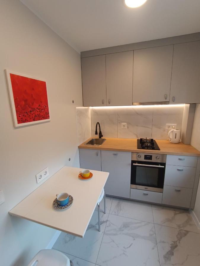 Dariaus Ir Gireno 6 Apartments 빌뉴스 외부 사진